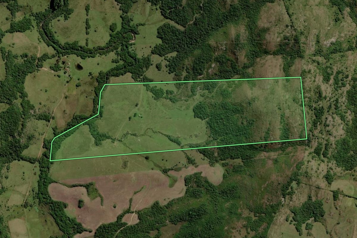 Imagem de satélite do imóvel rural em Piratini (RS), com o contorno declarado no CAR desenhado por cima.
