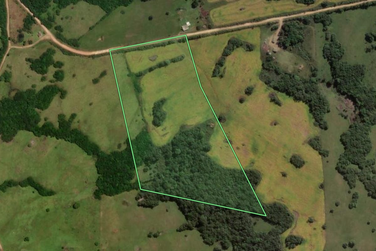 Imagem de satélite do imóvel rural em Piratini (RS), com o contorno declarado no CAR desenhado por cima.