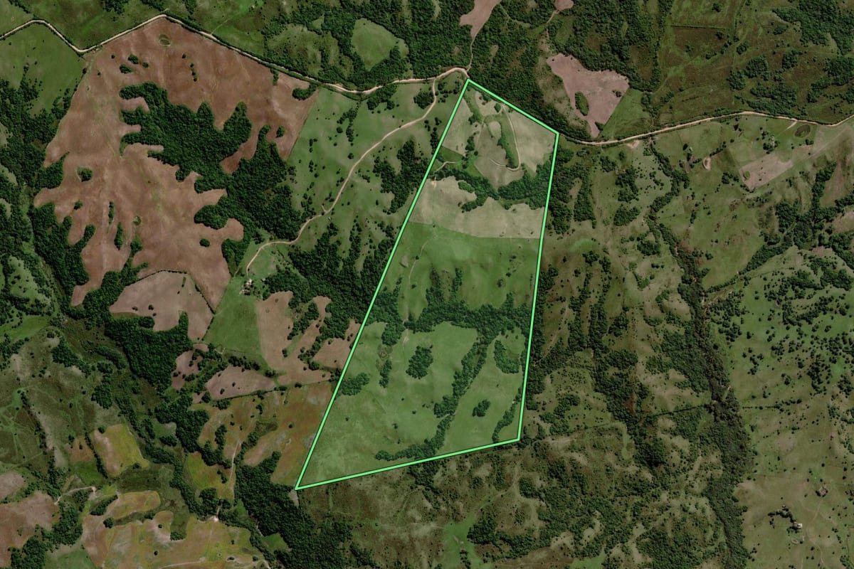Imagem de satélite do imóvel rural em Piratini (RS), com o contorno declarado no CAR desenhado por cima.