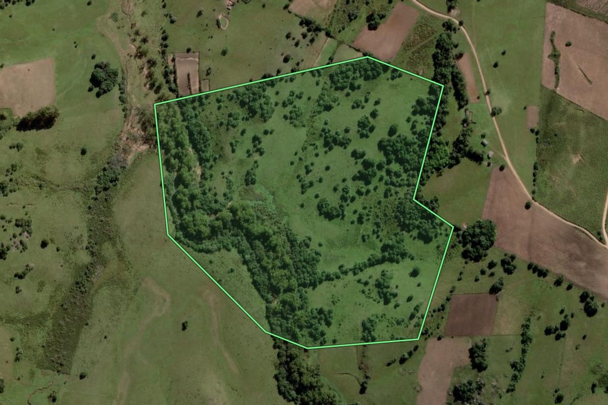 Imagem de satélite do imóvel rural em Piratini (RS), com o contorno declarado no CAR desenhado por cima.