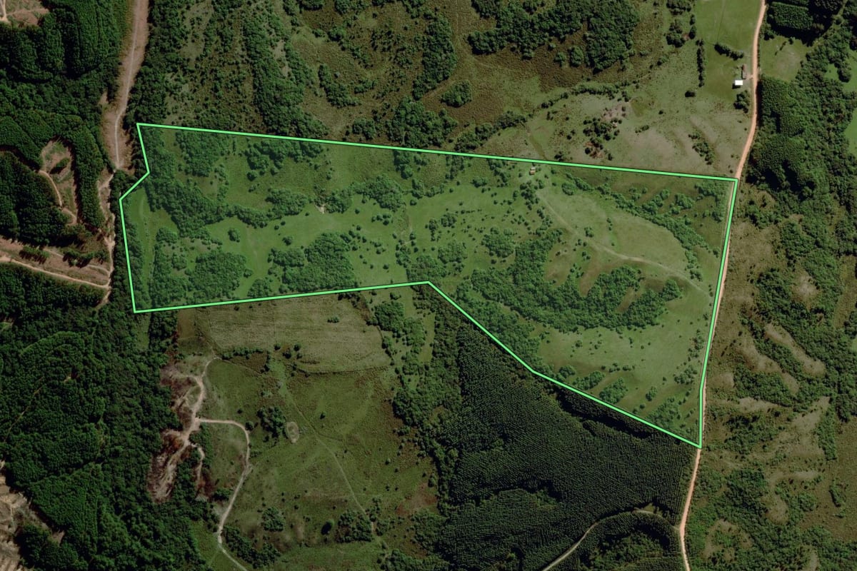 Imagem de satélite do imóvel rural em Piratini (RS), com o contorno declarado no CAR desenhado por cima.