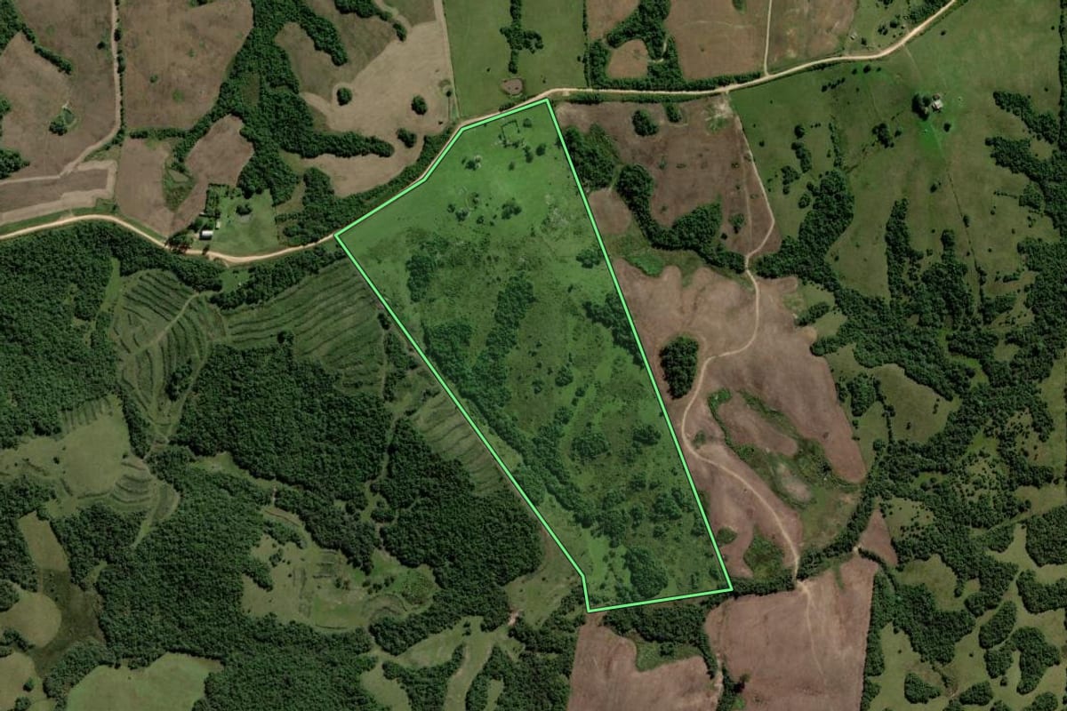Imagem de satélite do imóvel rural em Piratini (RS), com o contorno declarado no CAR desenhado por cima.