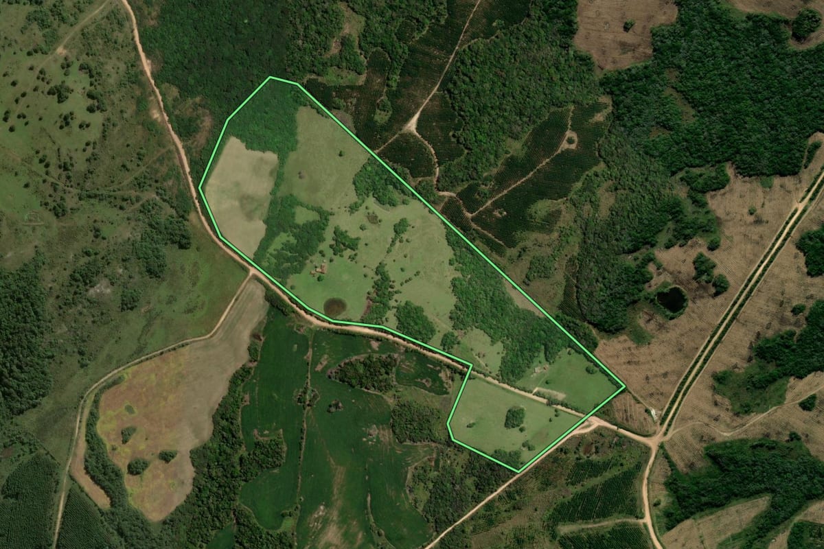 Imagem de satélite do imóvel rural em Piratini (RS), com o contorno declarado no CAR desenhado por cima.