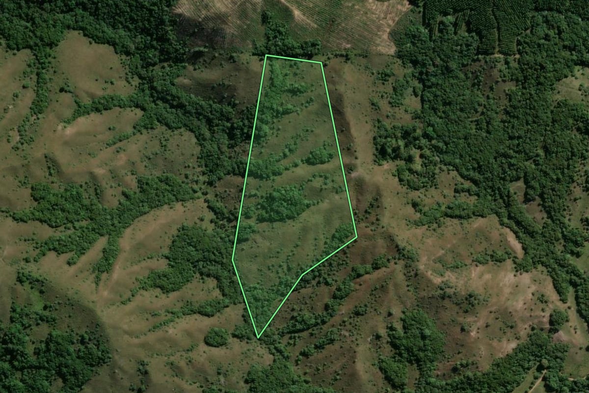 Imagem de satélite do imóvel rural em Piratini (RS), com o contorno declarado no CAR desenhado por cima.