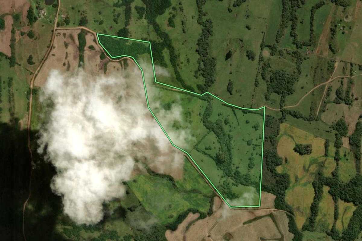Imagem de satélite do imóvel rural em Piratini (RS), com o contorno declarado no CAR desenhado por cima.