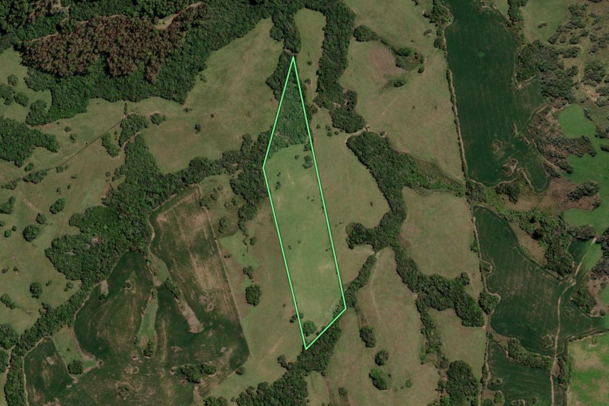 Imagem de satélite do imóvel rural em Piratini (RS), com o contorno declarado no CAR desenhado por cima.