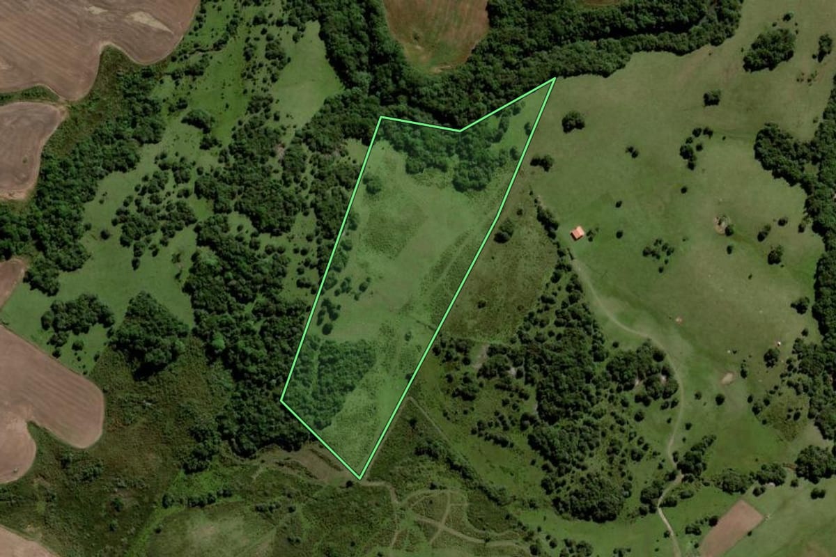 Imagem de satélite do imóvel rural em Piratini (RS), com o contorno declarado no CAR desenhado por cima.
