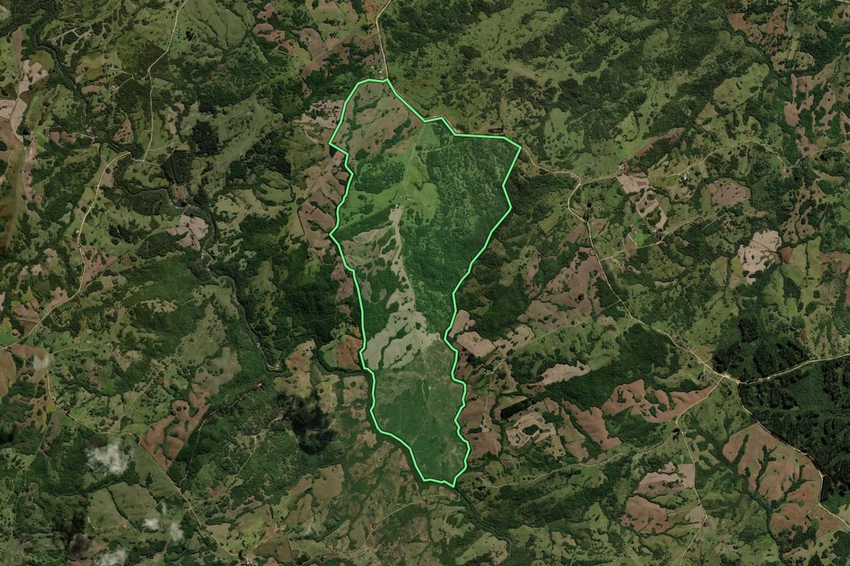 Imagem de satélite do imóvel rural em Piratini (RS), com o contorno declarado no CAR desenhado por cima.