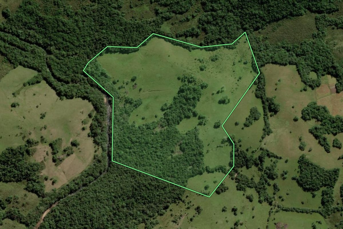 Imagem de satélite do imóvel rural em Piratini (RS), com o contorno declarado no CAR desenhado por cima.