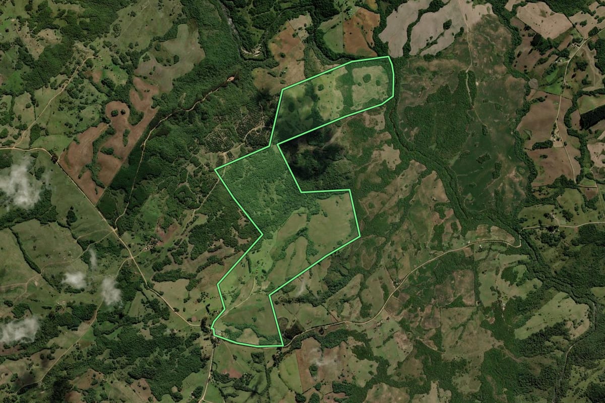 Imagem de satélite do imóvel rural em Piratini (RS), com o contorno declarado no CAR desenhado por cima.