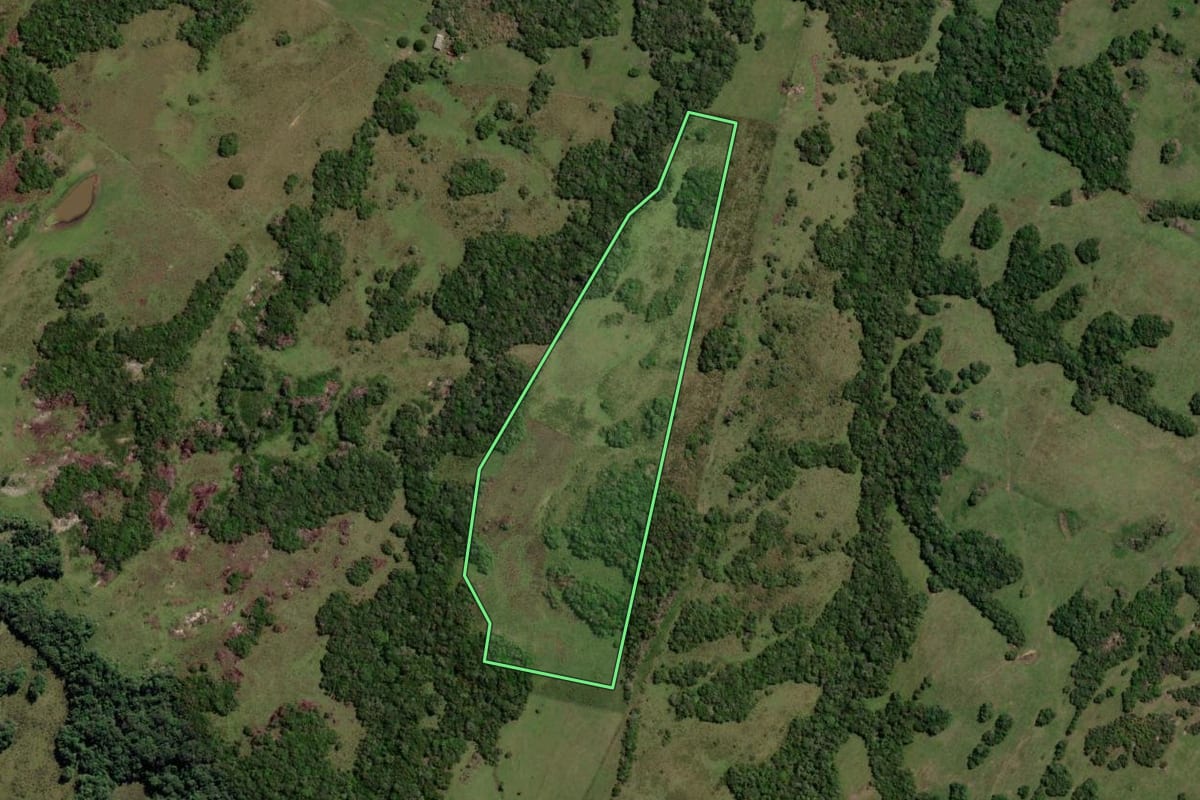Imagem de satélite do imóvel rural em Piratini (RS), com o contorno declarado no CAR desenhado por cima.