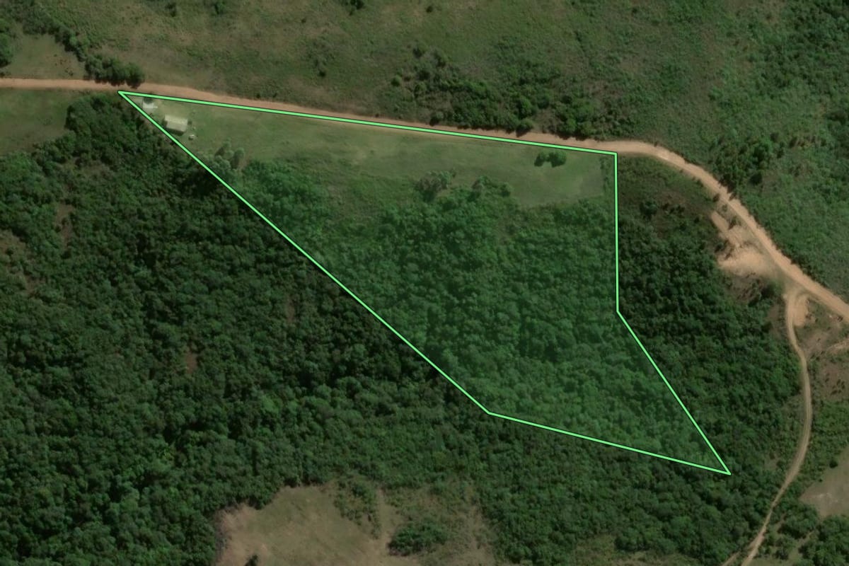 Imagem de satélite do imóvel rural em Piratini (RS), com o contorno declarado no CAR desenhado por cima.