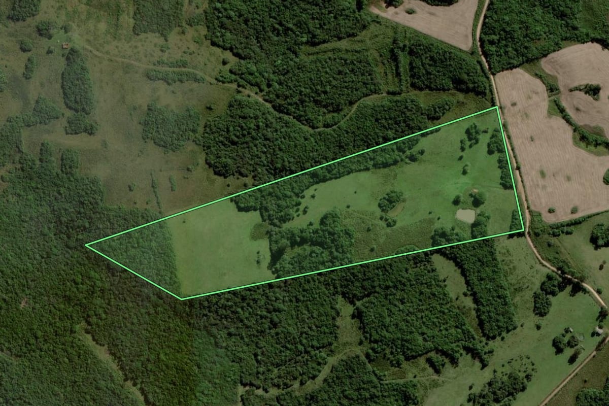 Imagem de satélite do imóvel rural em Piratini (RS), com o contorno declarado no CAR desenhado por cima.