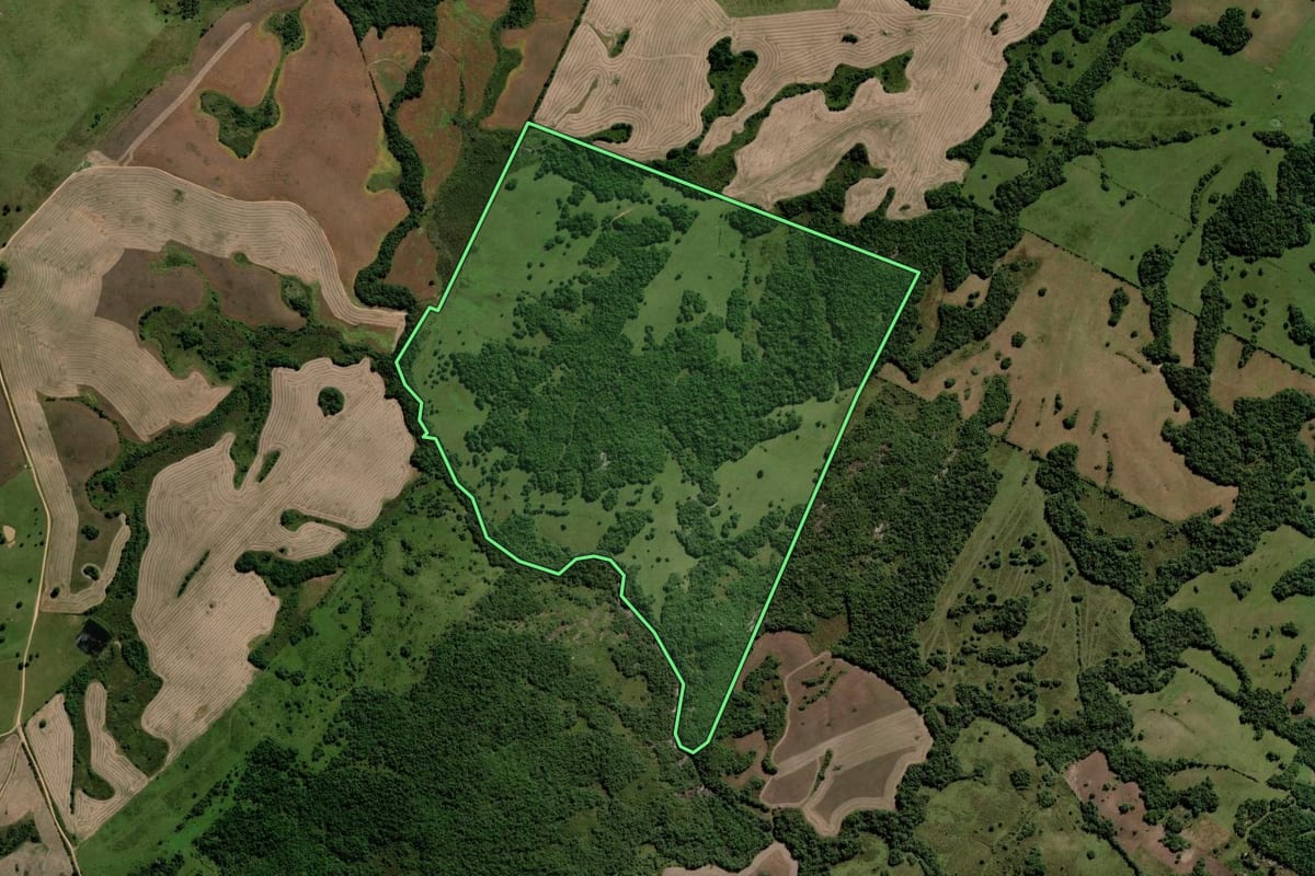 Imagem de satélite do imóvel rural em Piratini (RS), com o contorno declarado no CAR desenhado por cima.
