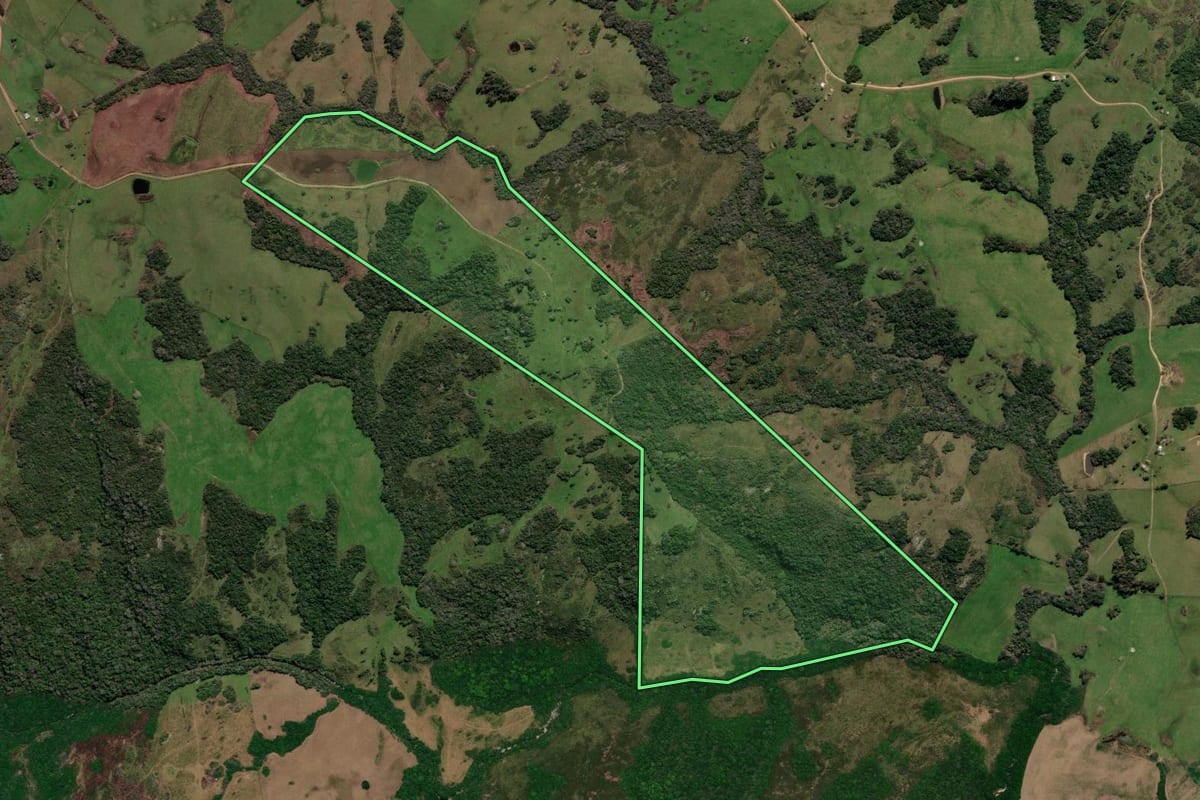 Imagem de satélite do imóvel rural em Piratini (RS), com o contorno declarado no CAR desenhado por cima.