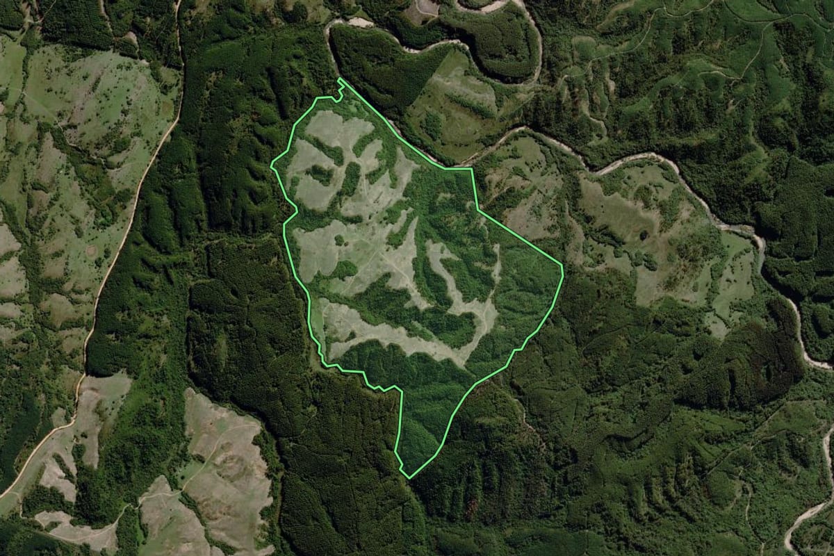 Imagem de satélite do imóvel rural em Piratini (RS), com o contorno declarado no CAR desenhado por cima.