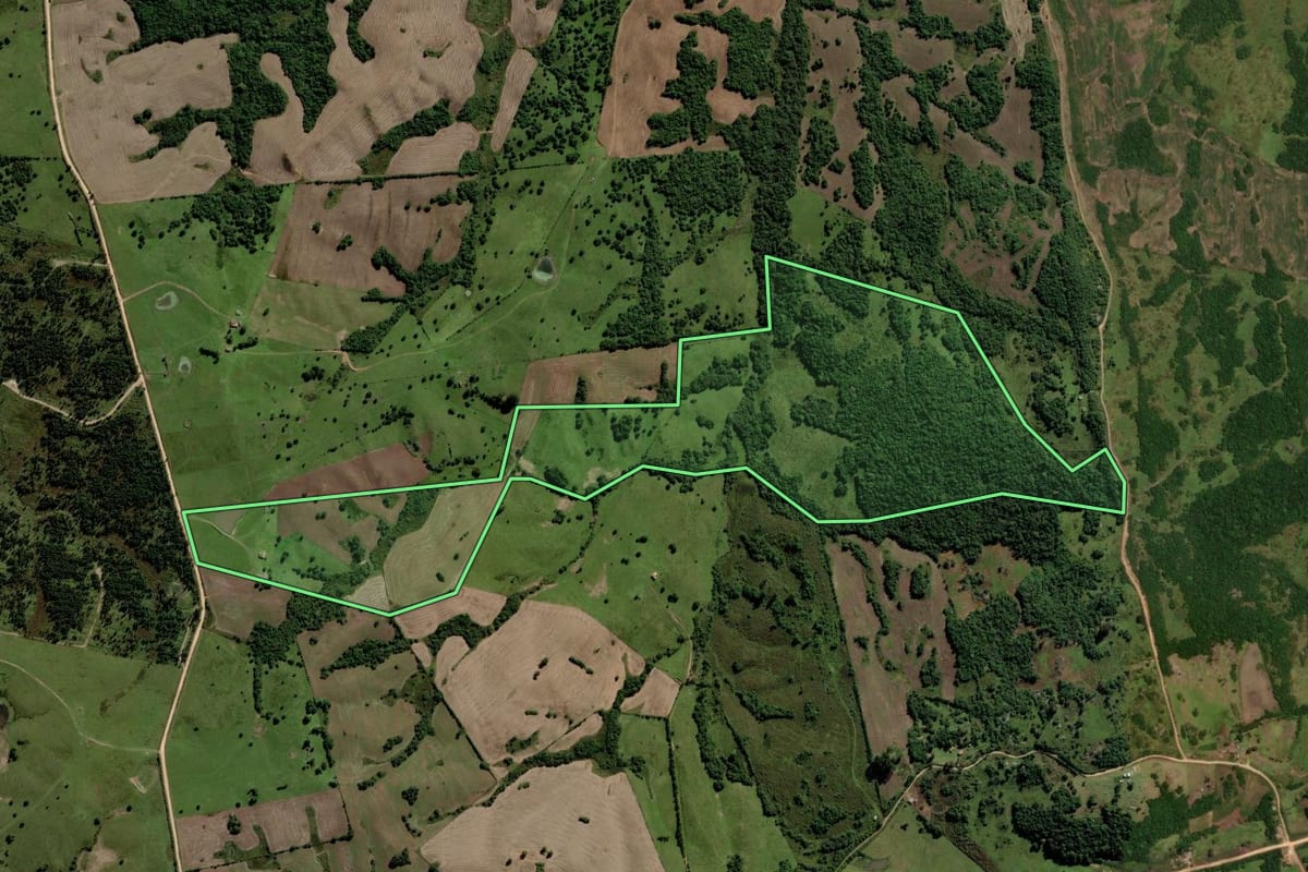 Imagem de satélite do imóvel rural em Piratini (RS), com o contorno declarado no CAR desenhado por cima.