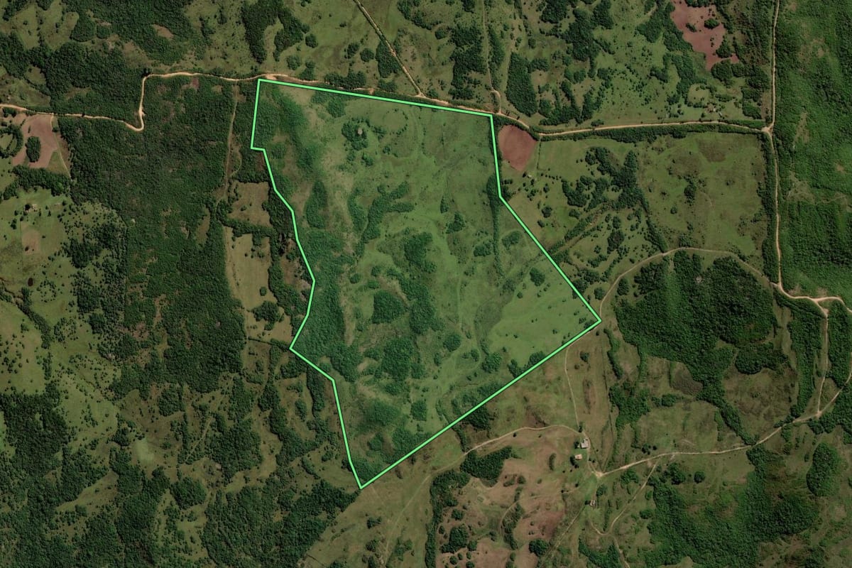 Imagem de satélite do imóvel rural em Piratini (RS), com o contorno declarado no CAR desenhado por cima.