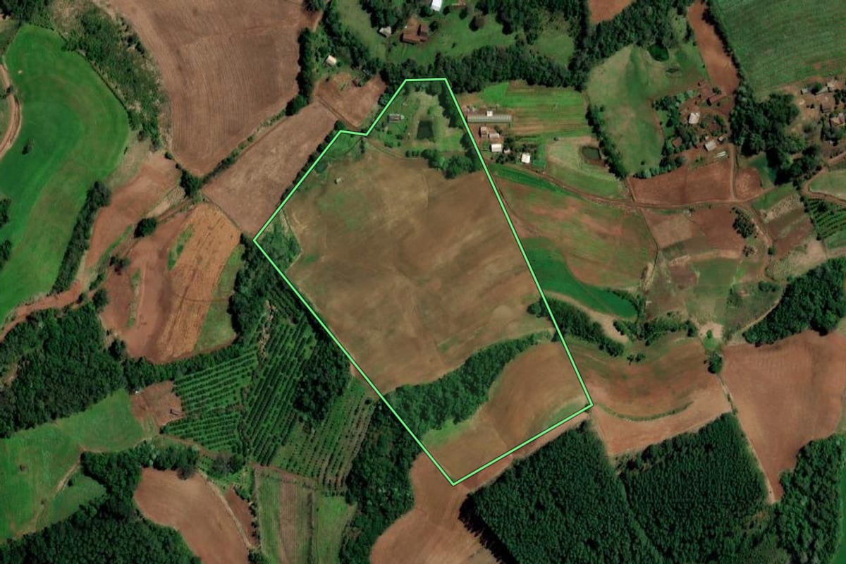 Imagem de satélite do imóvel rural em Planalto (RS), com o contorno declarado no CAR desenhado por cima.