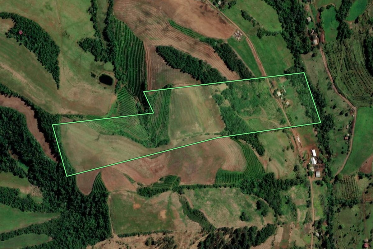Imagem de satélite do imóvel rural em Planalto (RS), com o contorno declarado no CAR desenhado por cima.
