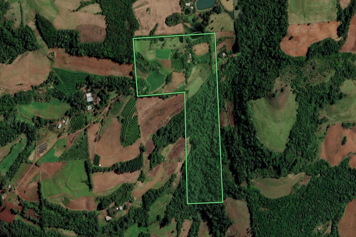 Imagem de satélite do imóvel rural em Planalto (RS), com o contorno declarado no CAR desenhado por cima.