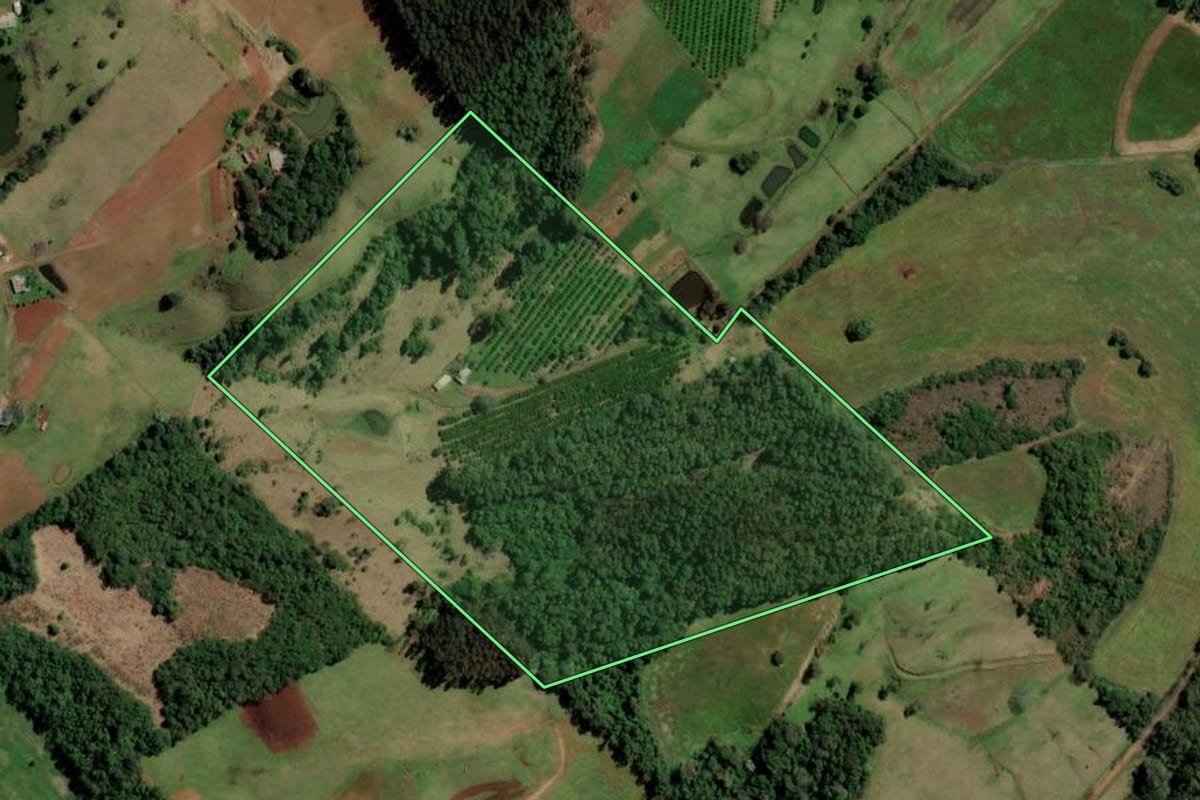 Imagem de satélite do imóvel rural em Planalto (RS), com o contorno declarado no CAR desenhado por cima.