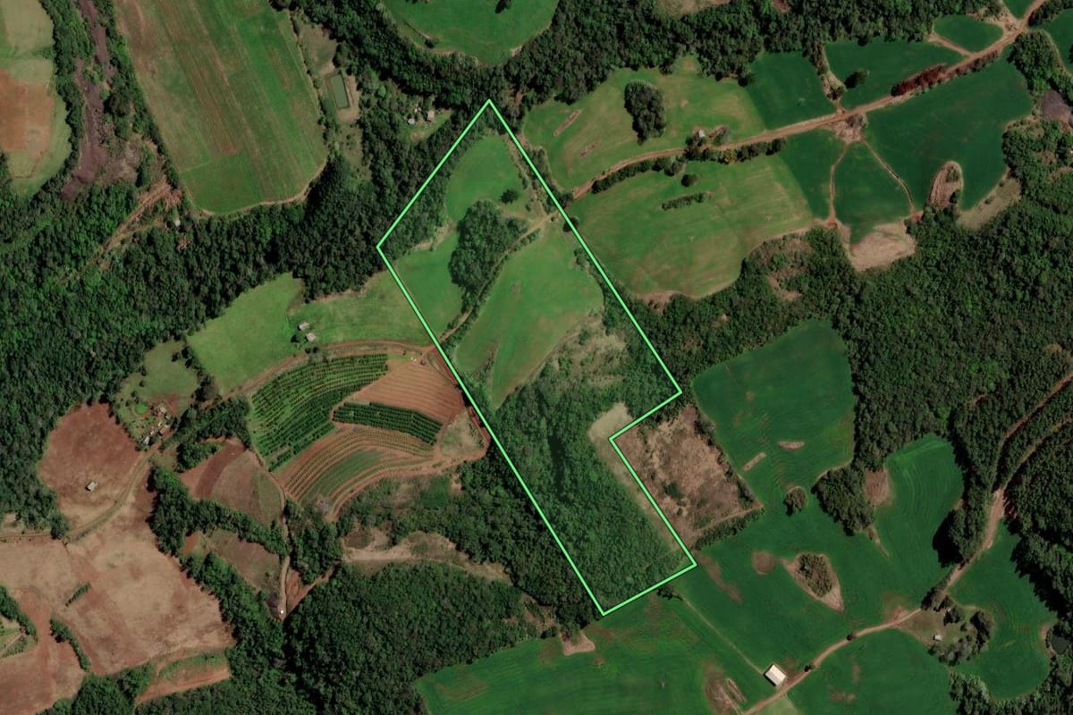 Imagem de satélite do imóvel rural em Planalto (RS), com o contorno declarado no CAR desenhado por cima.