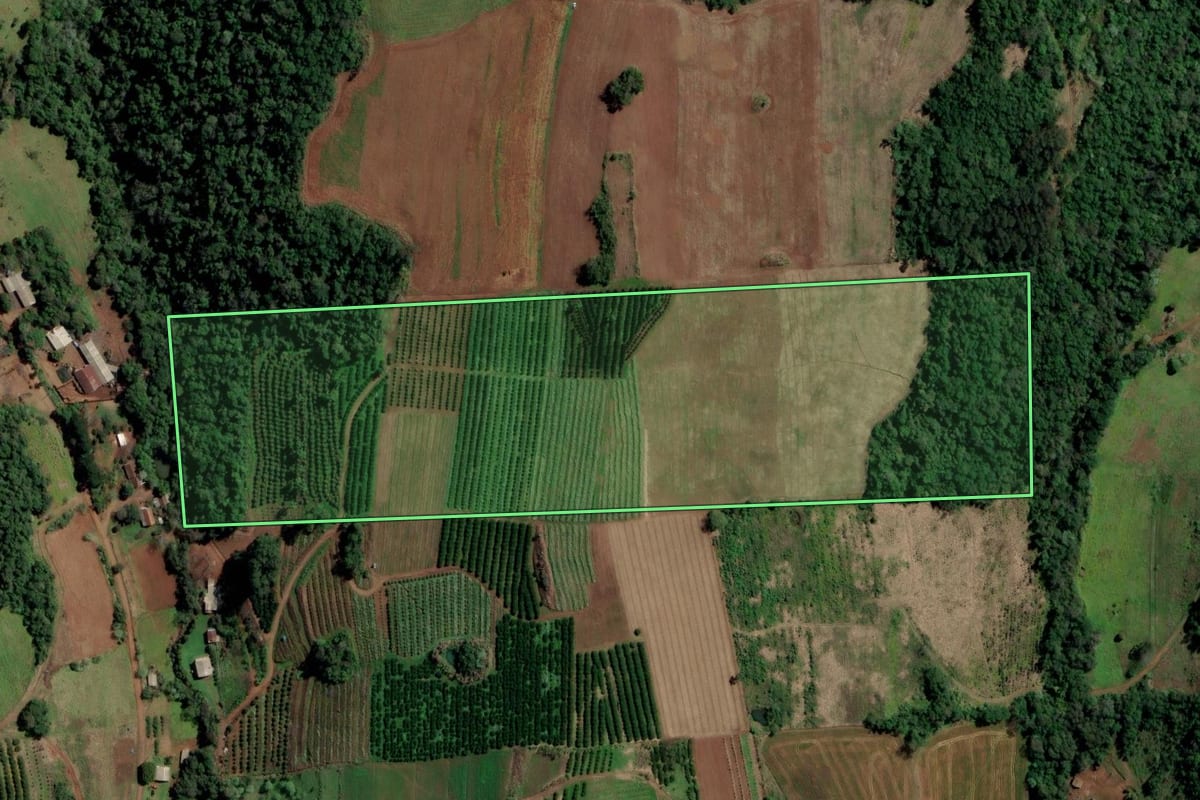 Imagem de satélite do imóvel rural em Planalto (RS), com o contorno declarado no CAR desenhado por cima.