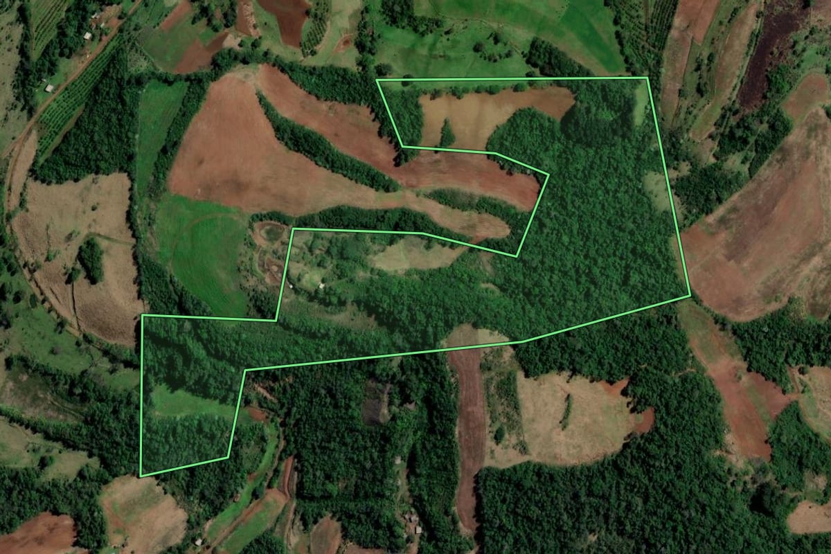 Imagem de satélite do imóvel rural em Planalto (RS), com o contorno declarado no CAR desenhado por cima.