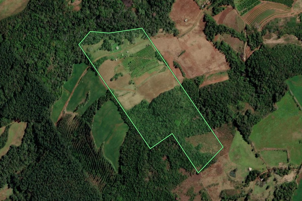 Imagem de satélite do imóvel rural em Planalto (RS), com o contorno declarado no CAR desenhado por cima.