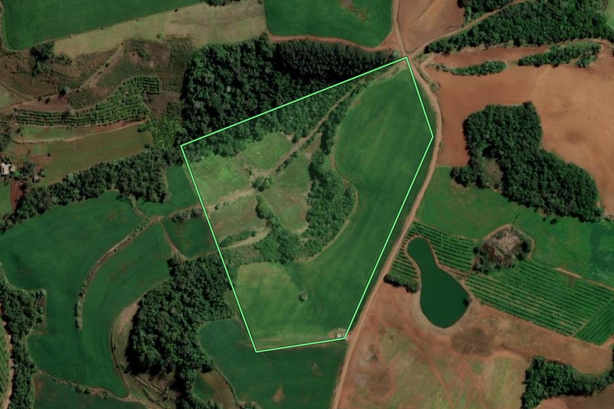 Imagem de satélite do imóvel rural em Planalto (RS), com o contorno declarado no CAR desenhado por cima.