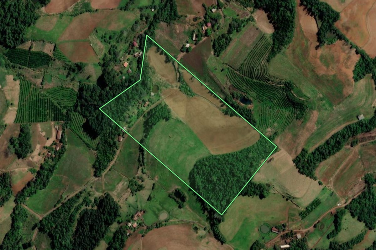 Imagem de satélite do imóvel rural em Planalto (RS), com o contorno declarado no CAR desenhado por cima.