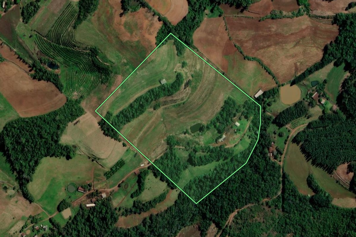 Imagem de satélite do imóvel rural em Planalto (RS), com o contorno declarado no CAR desenhado por cima.