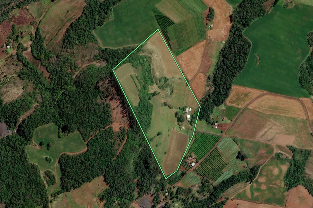 Imagem de satélite do imóvel rural em Planalto (RS), com o contorno declarado no CAR desenhado por cima.