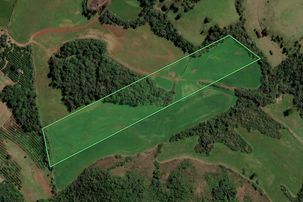 Imagem de satélite do imóvel rural em Planalto (RS), com o contorno declarado no CAR desenhado por cima.