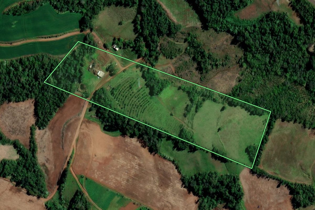 Imagem de satélite do imóvel rural em Planalto (RS), com o contorno declarado no CAR desenhado por cima.