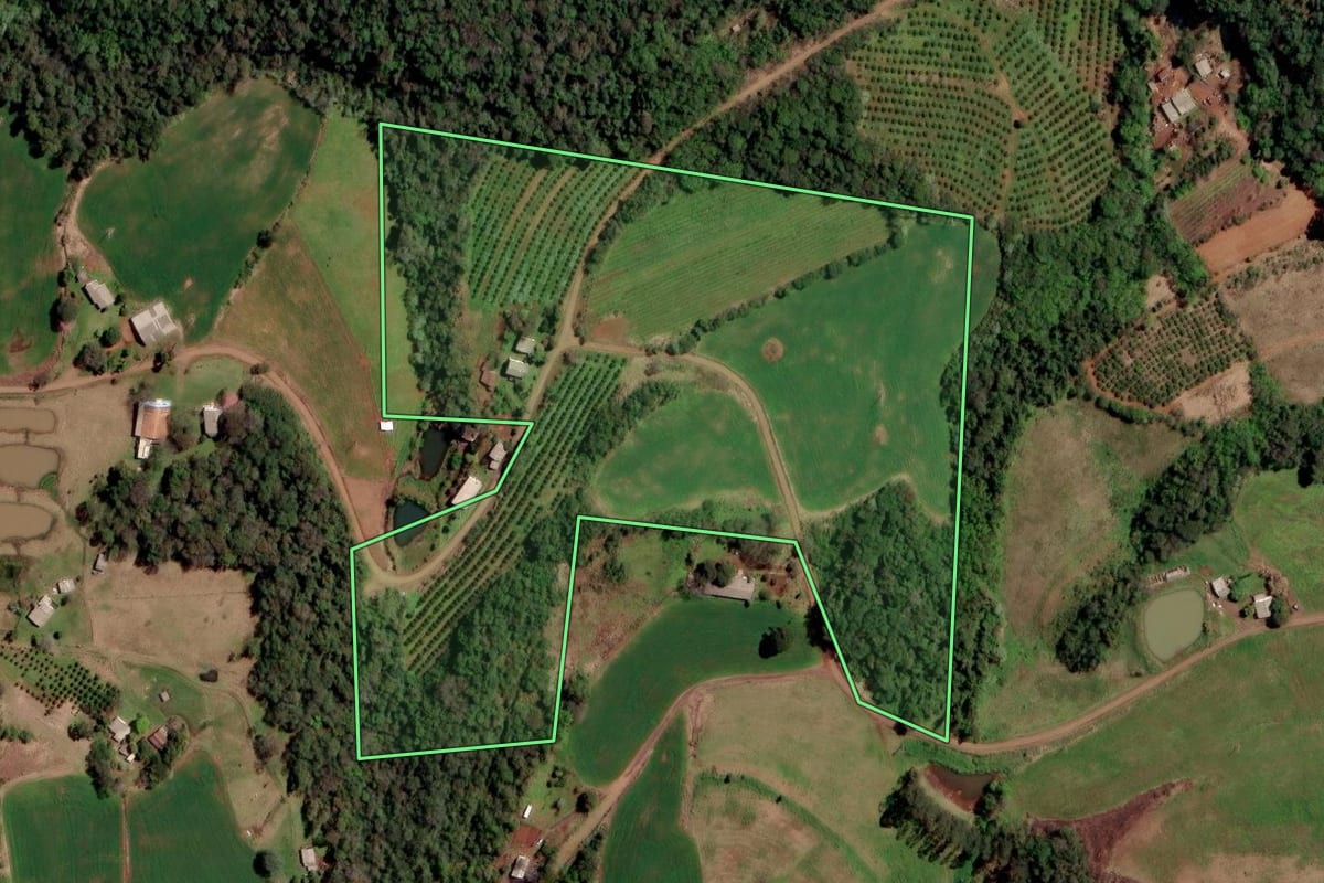 Imagem de satélite do imóvel rural em Planalto (RS), com o contorno declarado no CAR desenhado por cima.