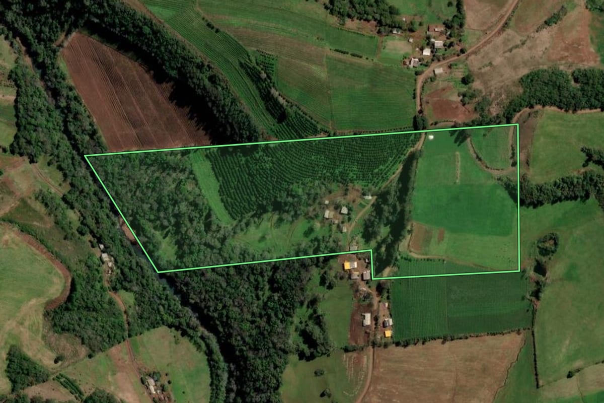 Imagem de satélite do imóvel rural em Planalto (RS), com o contorno declarado no CAR desenhado por cima.