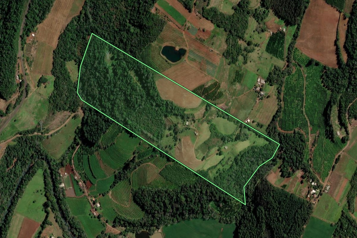 Imagem de satélite do imóvel rural em Planalto (RS), com o contorno declarado no CAR desenhado por cima.