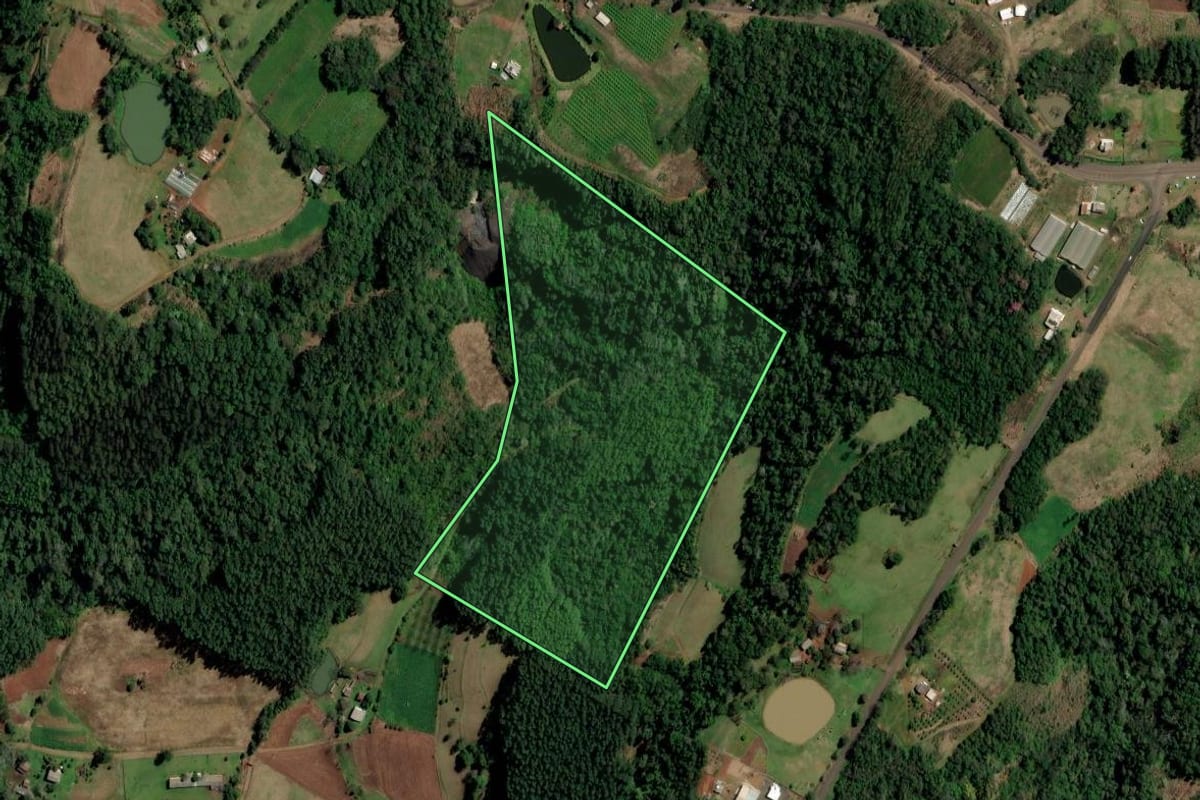 Imagem de satélite do imóvel rural em Planalto (RS), com o contorno declarado no CAR desenhado por cima.