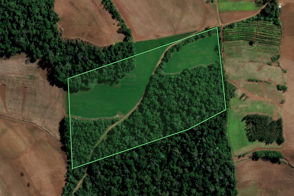 Imagem de satélite do imóvel rural em Planalto (RS), com o contorno declarado no CAR desenhado por cima.