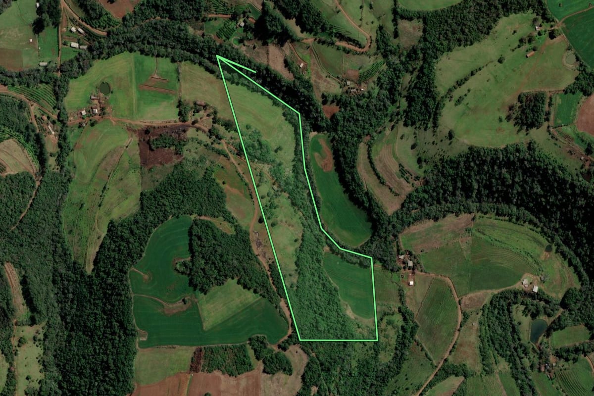 Imagem de satélite do imóvel rural em Planalto (RS), com o contorno declarado no CAR desenhado por cima.
