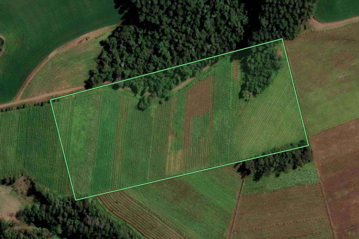 Imagem de satélite do imóvel rural em Planalto (RS), com o contorno declarado no CAR desenhado por cima.
