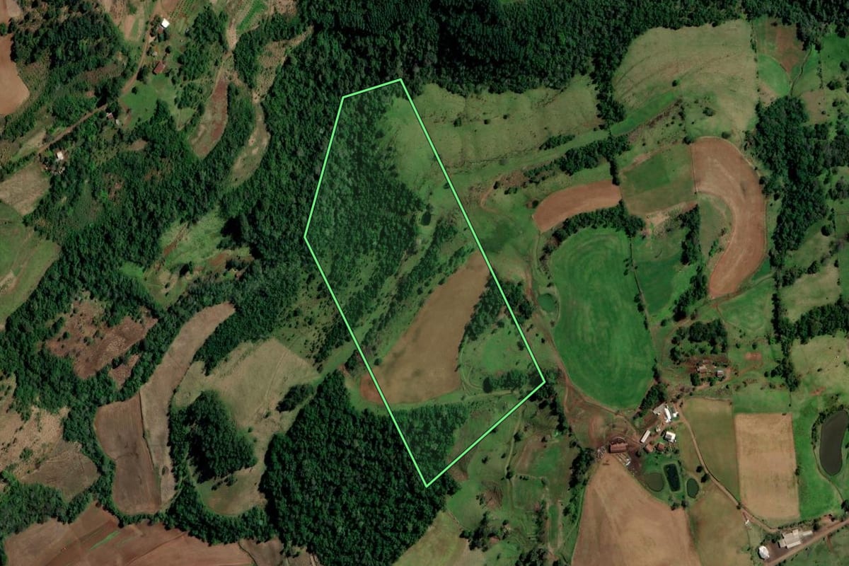 Imagem de satélite do imóvel rural em Planalto (RS), com o contorno declarado no CAR desenhado por cima.