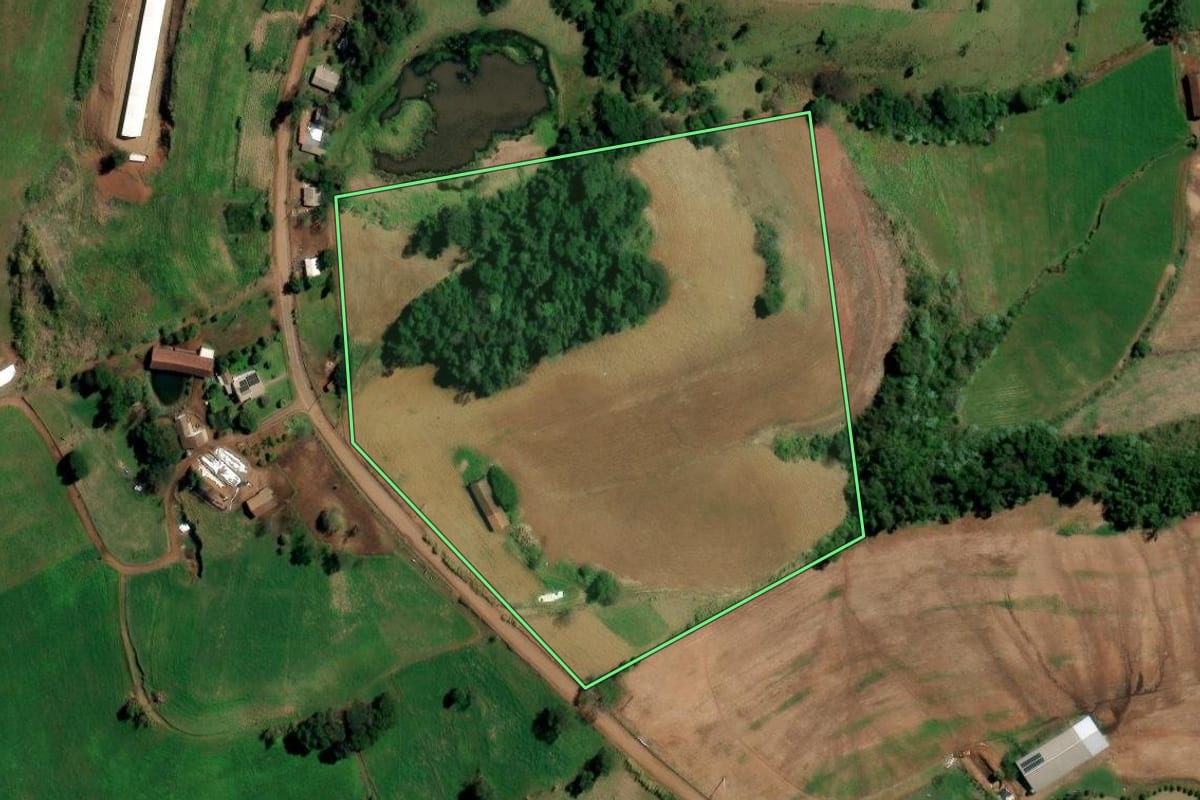 Imagem de satélite do imóvel rural em Planalto (RS), com o contorno declarado no CAR desenhado por cima.