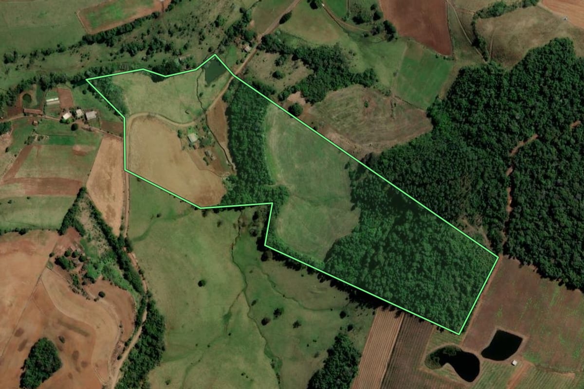 Imagem de satélite do imóvel rural em Planalto (RS), com o contorno declarado no CAR desenhado por cima.
