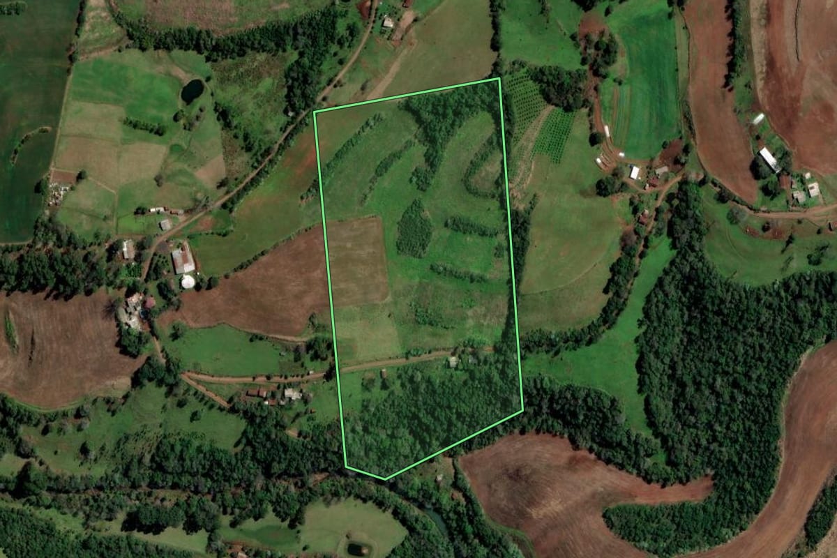 Imagem de satélite do imóvel rural em Planalto (RS), com o contorno declarado no CAR desenhado por cima.