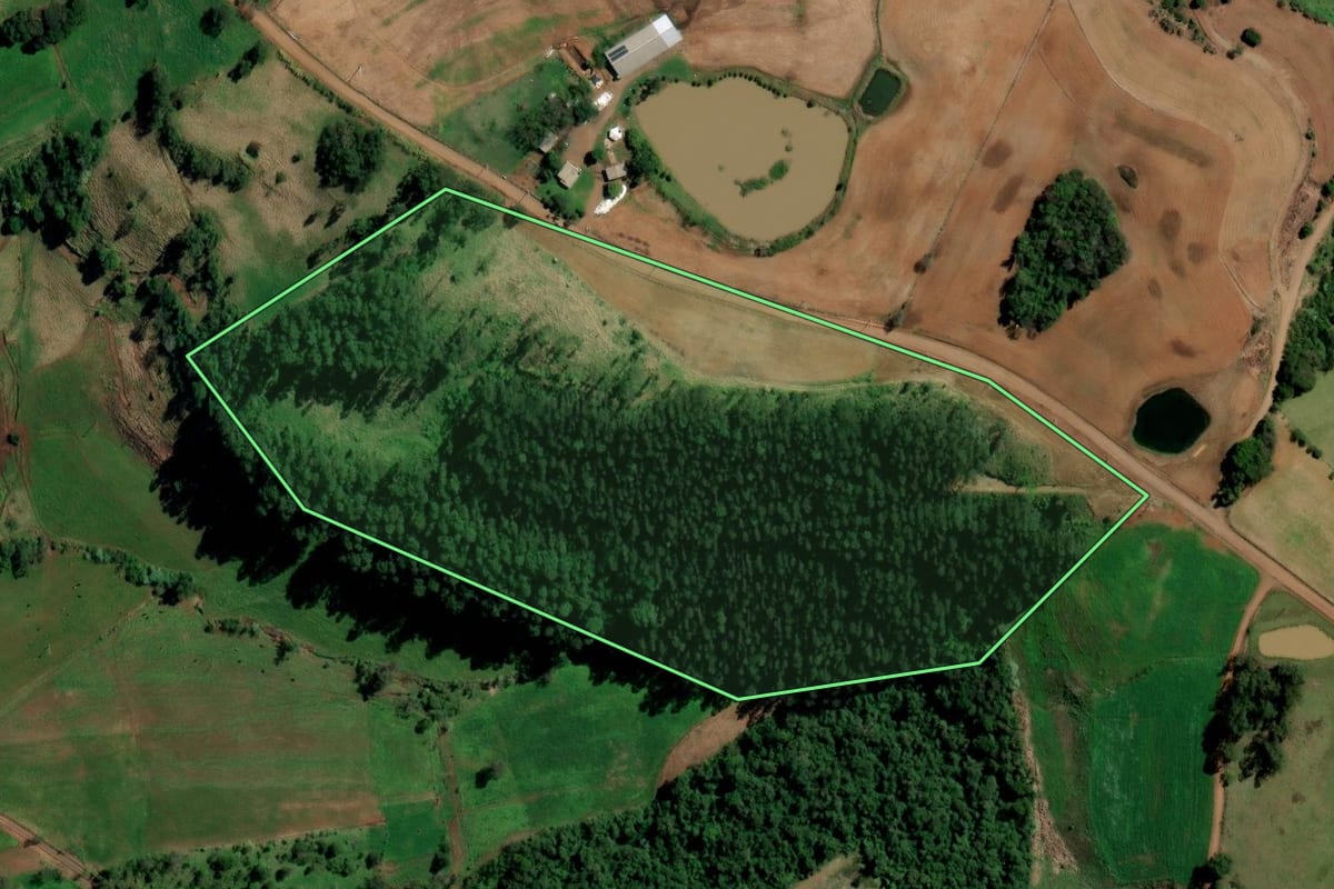 Imagem de satélite do imóvel rural em Planalto (RS), com o contorno declarado no CAR desenhado por cima.