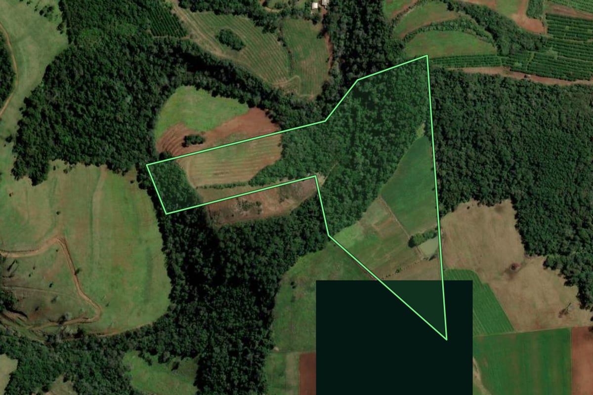 Imagem de satélite do imóvel rural em Planalto (RS), com o contorno declarado no CAR desenhado por cima.