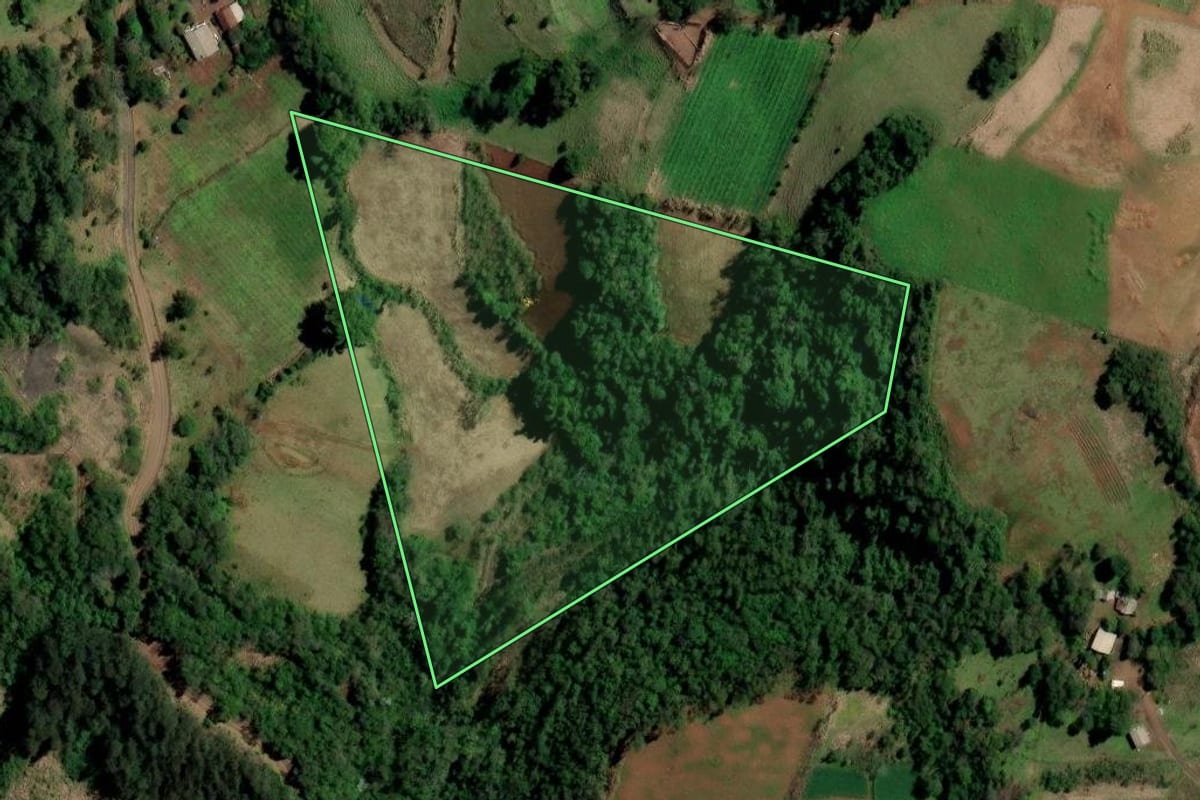 Imagem de satélite do imóvel rural em Planalto (RS), com o contorno declarado no CAR desenhado por cima.